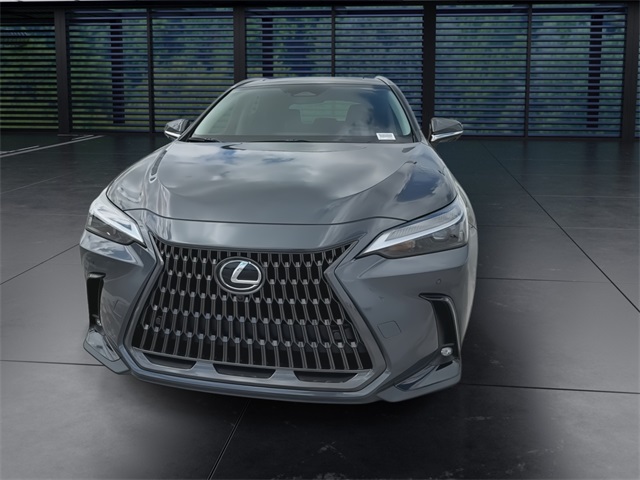 2025 Lexus NX 350 Premium AWD photo 3