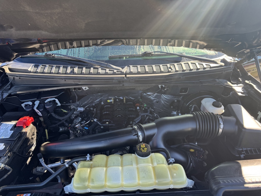 2021 Ford Expedition XLT:16966P