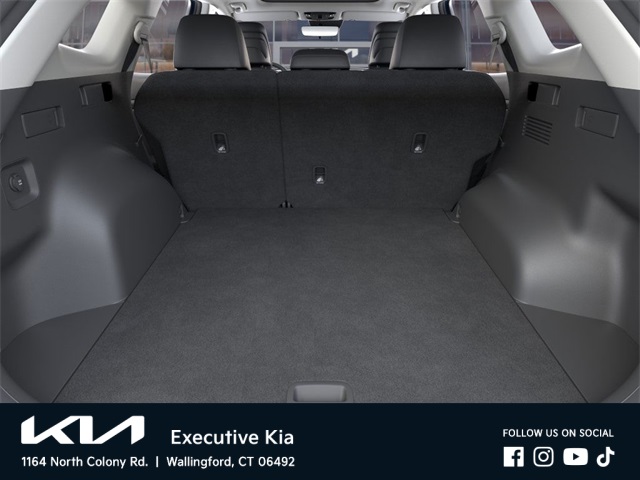 Sportage Hybrid EX