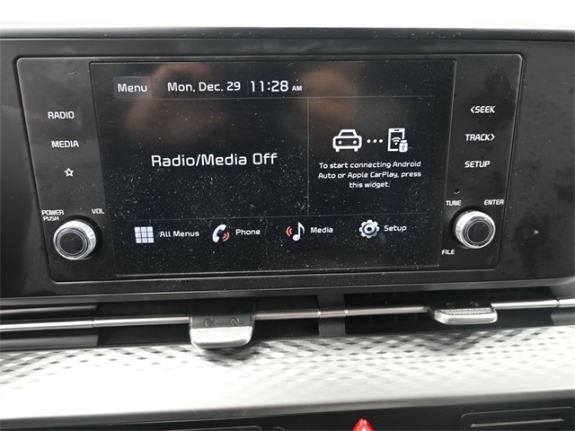 Used 2024 Kia Carnival Van