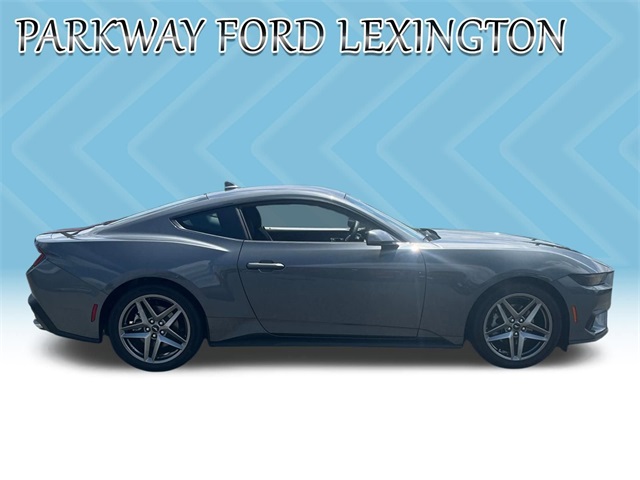 2025 Ford Mustang EcoBoost photo 4