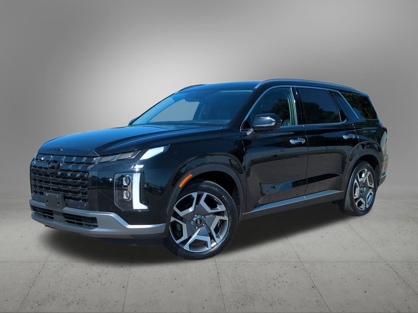 2023 Hyundai Palisade Limited's photo