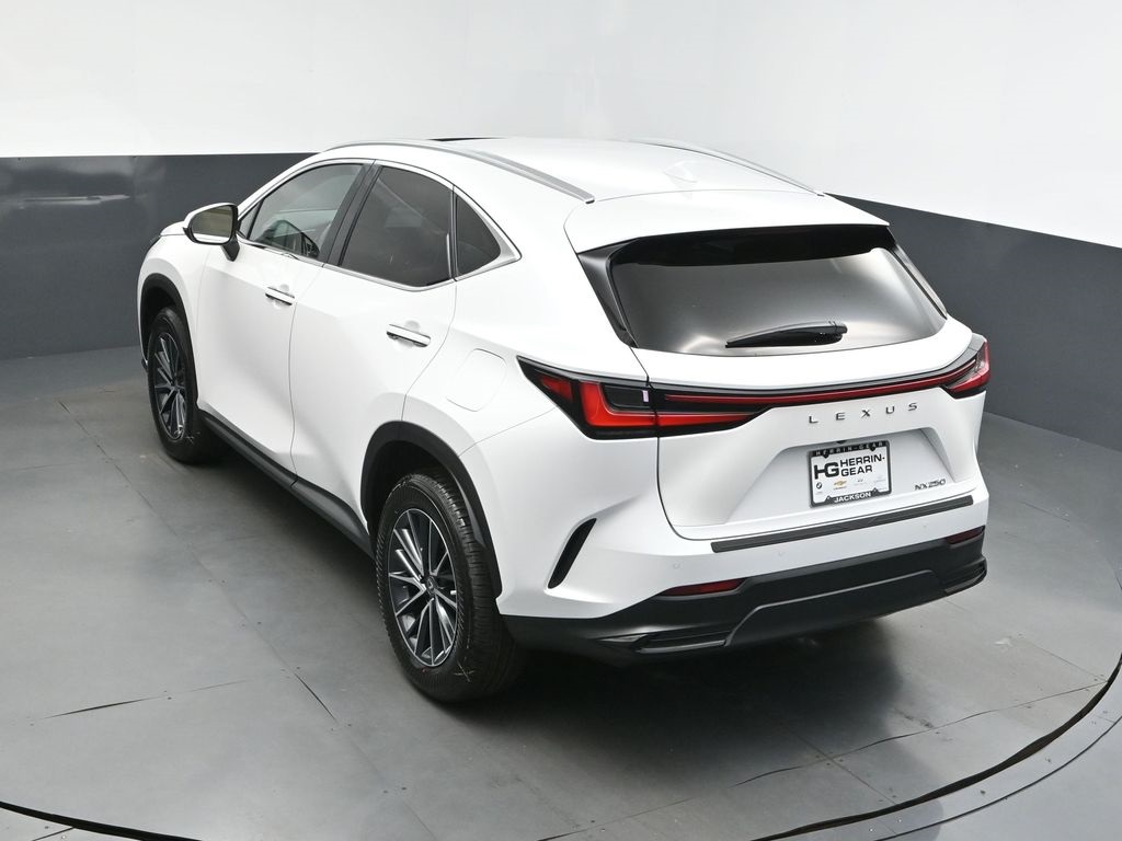 2025 White Pearl Lexus NX 250 Premium FWD SUV