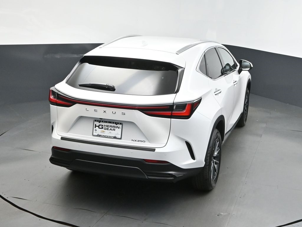 2025 White Pearl Lexus NX 250 Premium FWD SUV