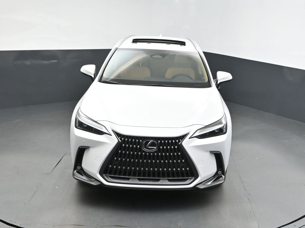 2025 White Pearl Lexus NX 250 Premium FWD SUV