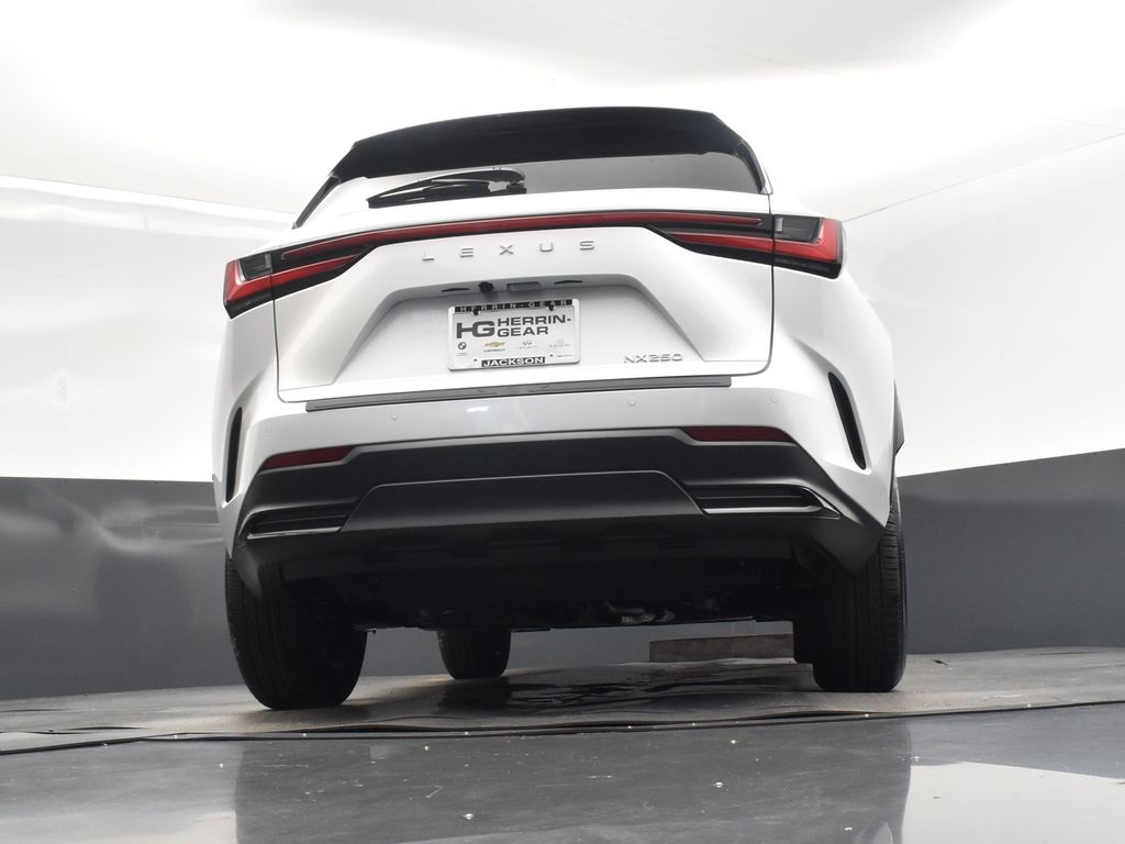 2025 White Pearl Lexus NX 250 Premium FWD SUV