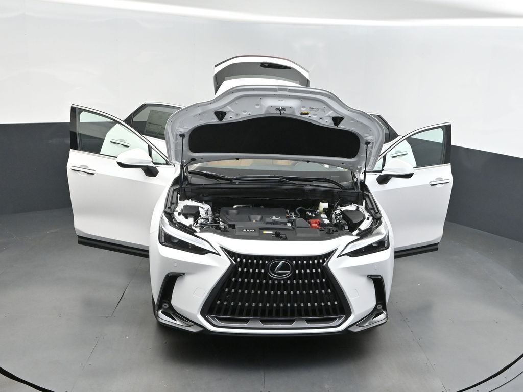 2025 White Pearl Lexus NX 250 Premium FWD SUV