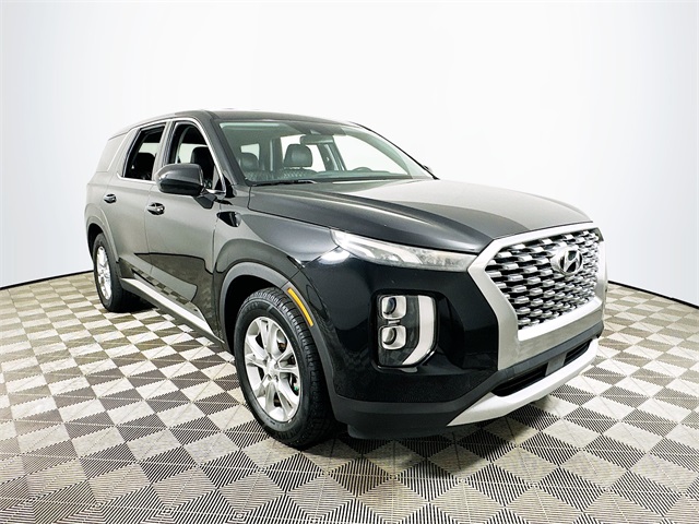 Palisade SE