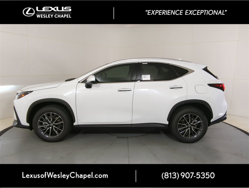 2026 Lexus NX 350 AWD photo 5