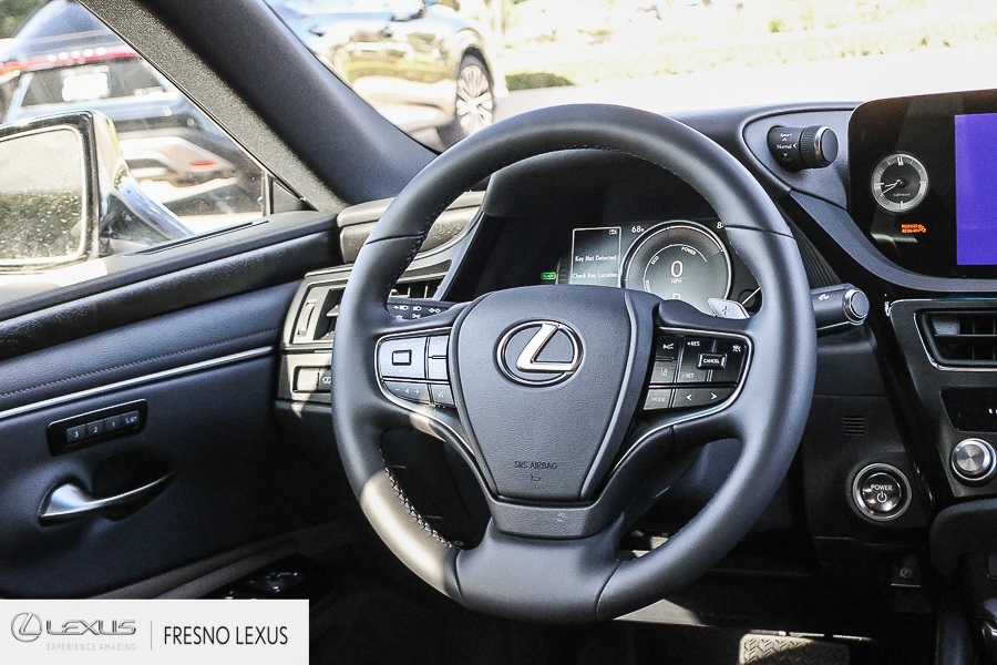 2025 Lexus ES 300h photo 18