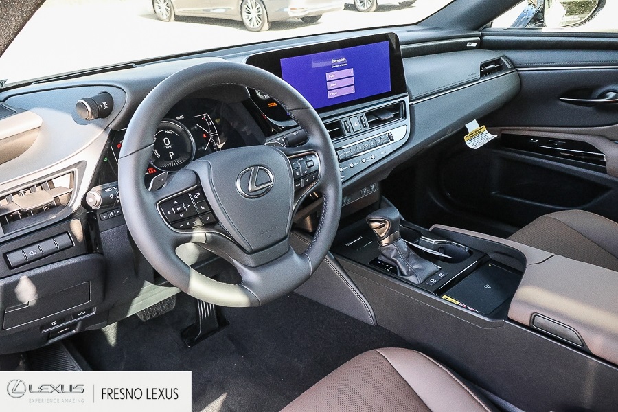 2025 Lexus ES 300h photo 19