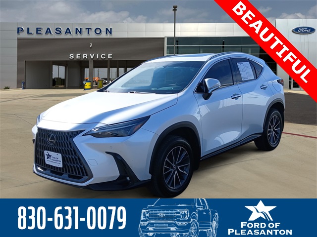 2024 Lexus NX 250's photo