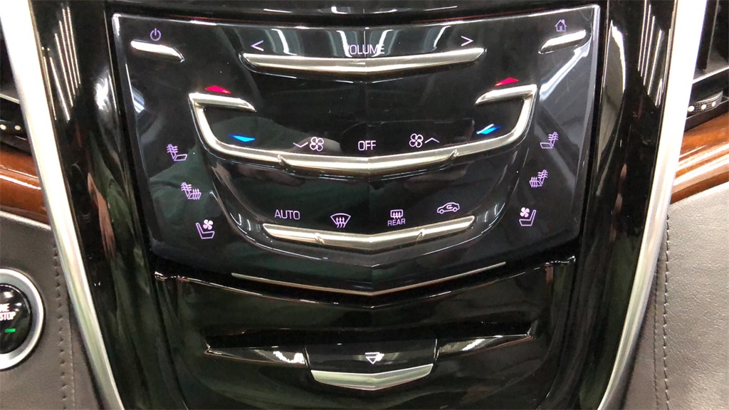 2020 Cadillac Escalade - 303945