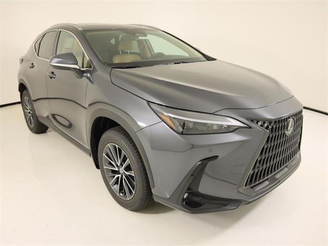 2026 Lexus NX 350 photo 6