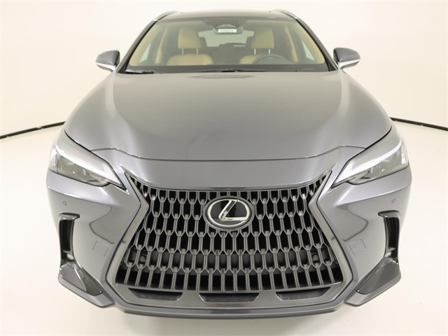 2026 Lexus NX 350 photo 7