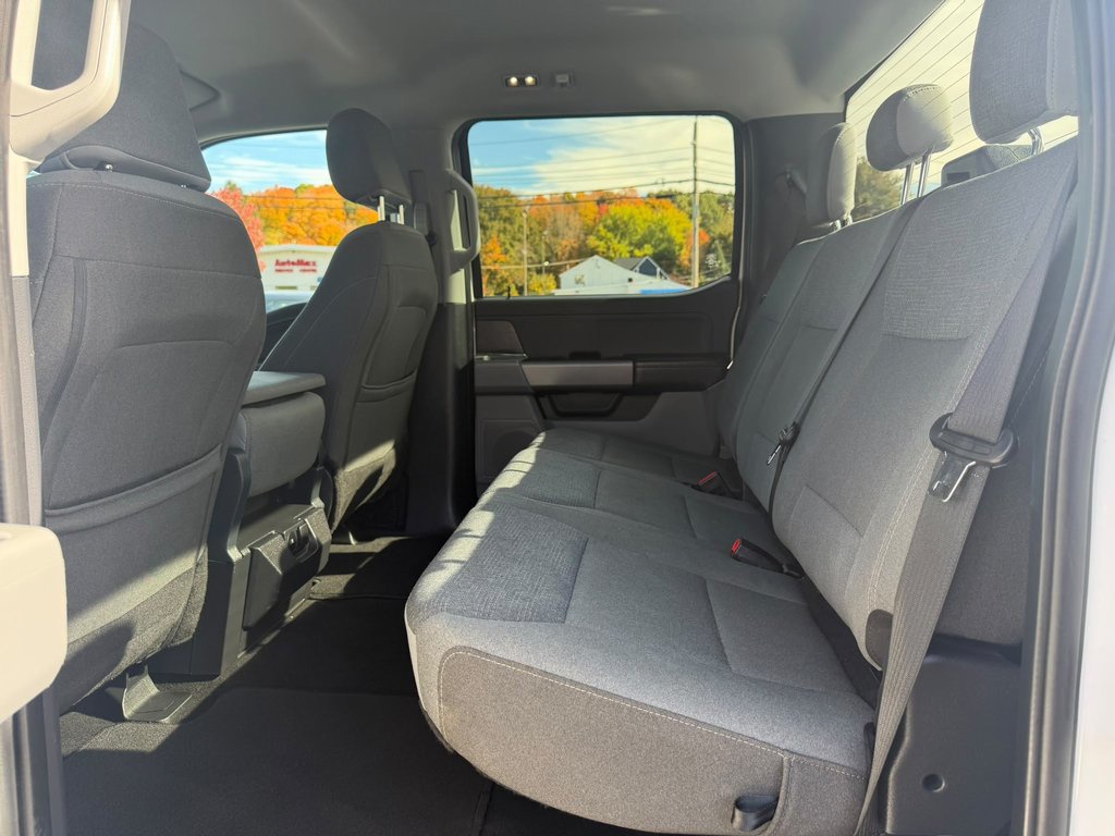 Used 2025 Ford F-150 Truck