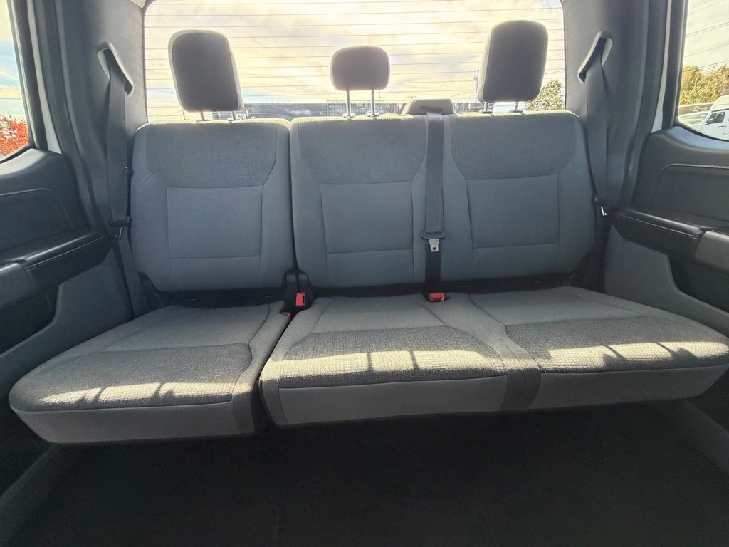 Used 2025 Ford F-150 Truck
