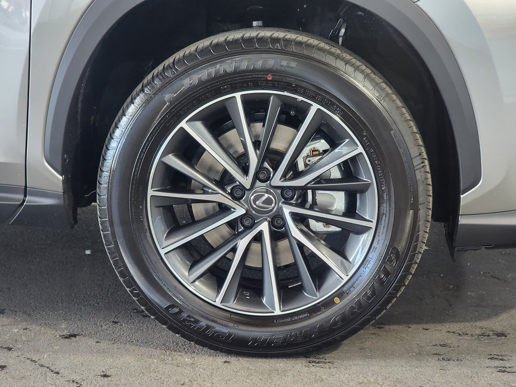 2026 Lexus NX 350 photo 4