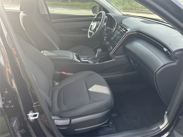 Image-13