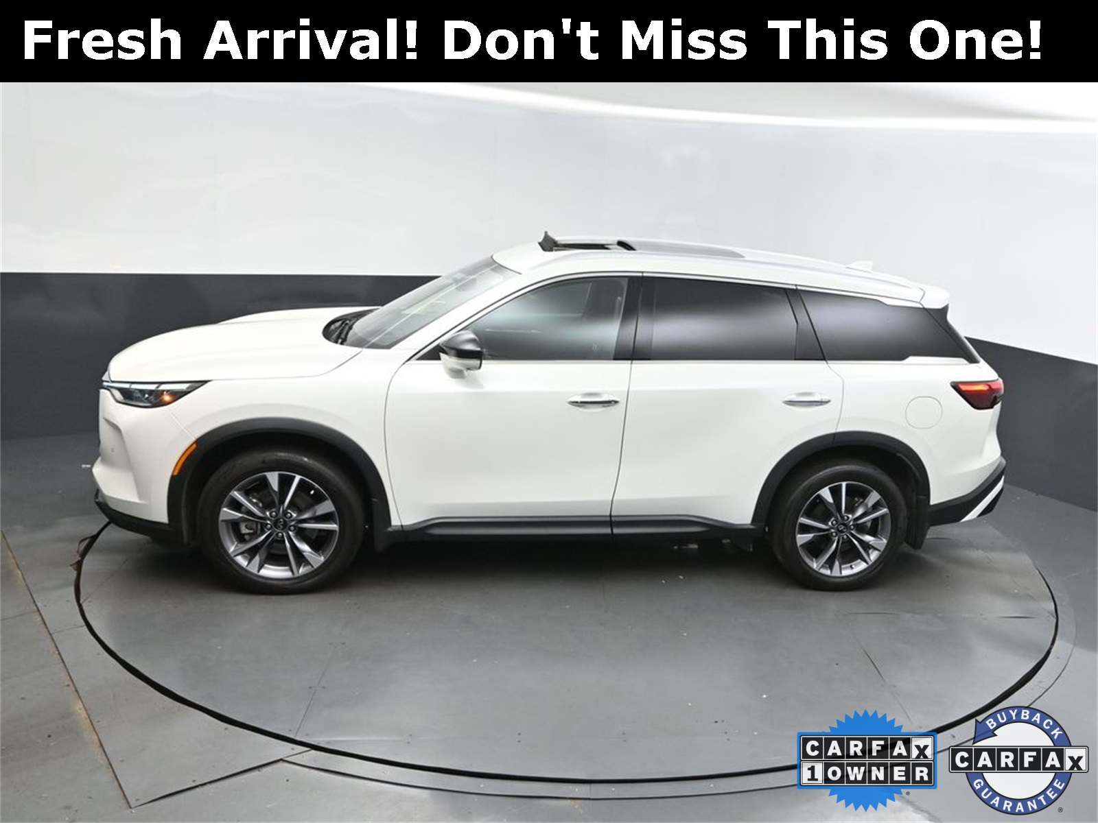 2024 Majestic INFINITI QX60 LUXE AWD SUV