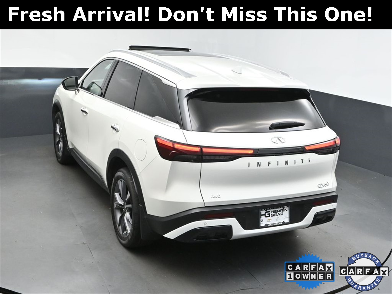 2024 Majestic INFINITI QX60 LUXE AWD SUV