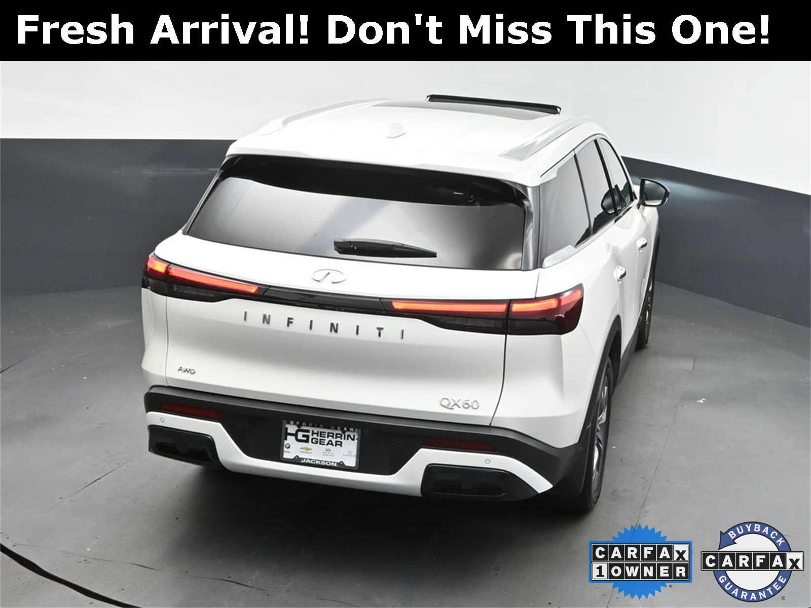 2024 Majestic INFINITI QX60 LUXE AWD SUV