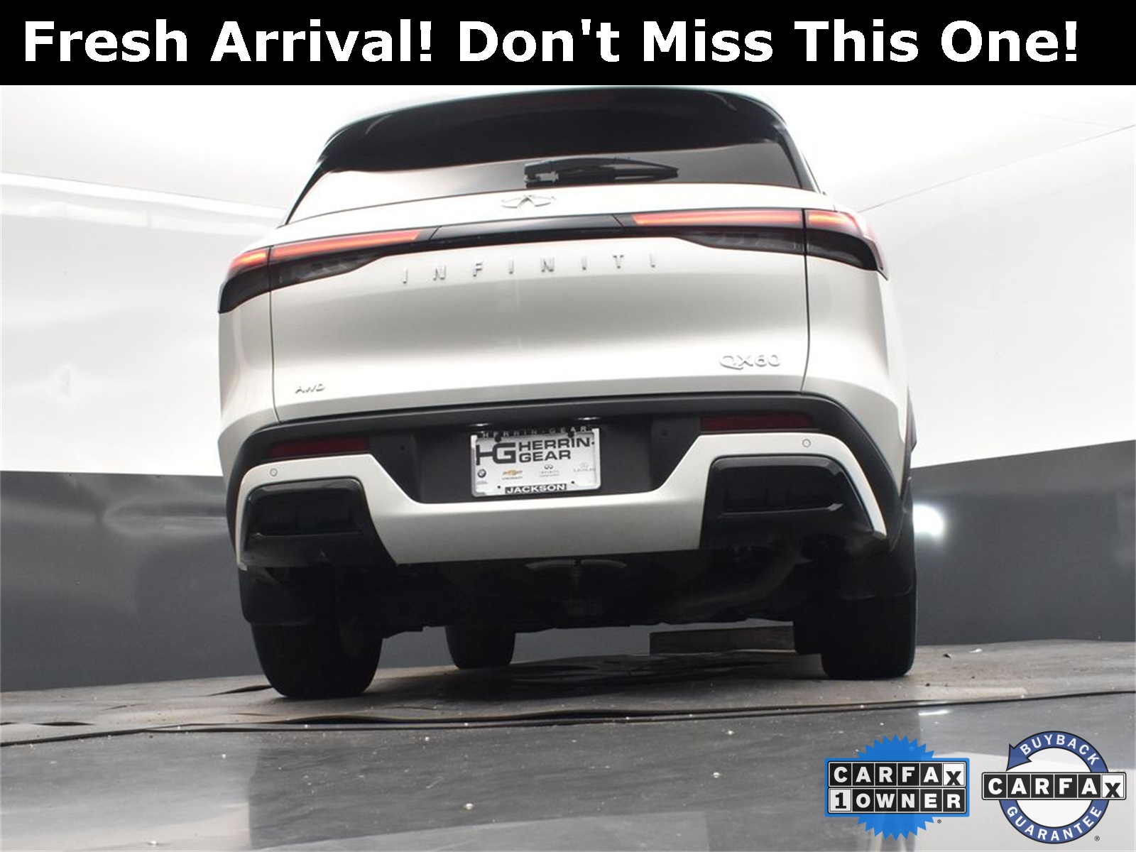 2024 Majestic INFINITI QX60 LUXE AWD SUV