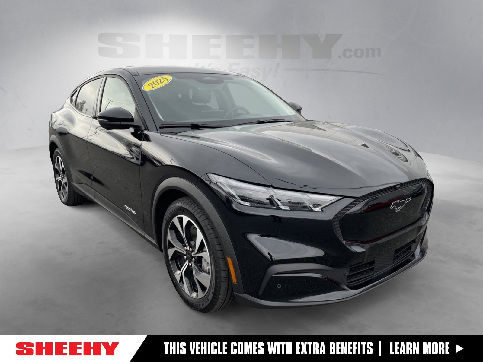 2025 Ford Mustang Mach-E Select AWD's photo