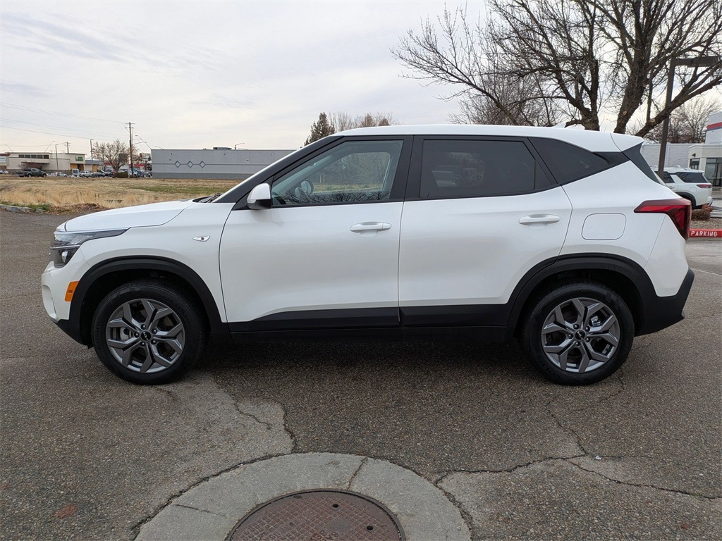 Image 7 of Savvy Certified 2024 Kia Seltos LX AWD