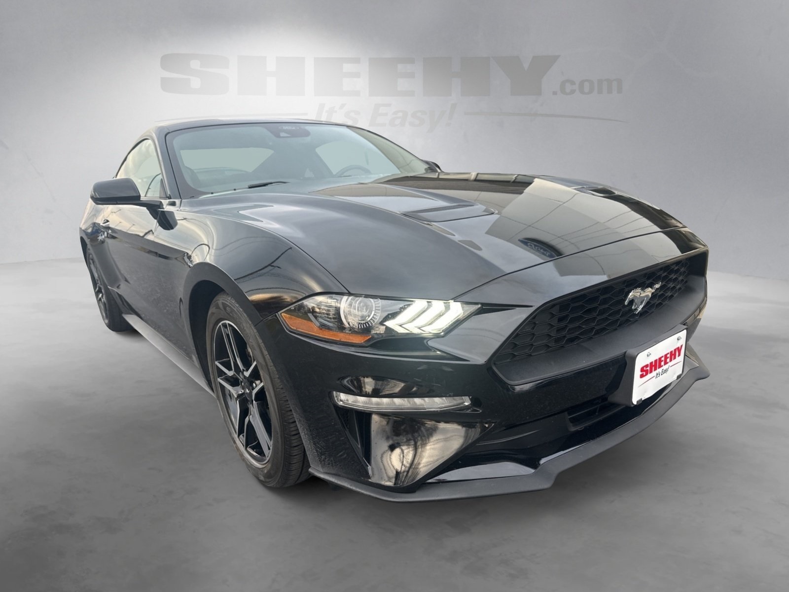 2021 Ford Mustang EcoBoost photo 2