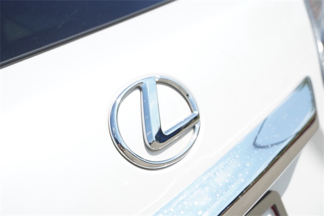 2010 Lexus RX 350 photo 11
