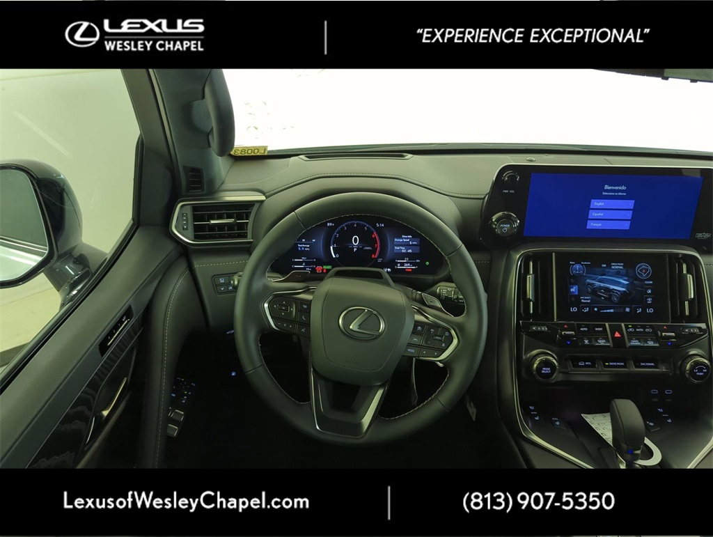 2025 Lexus LX photo 10