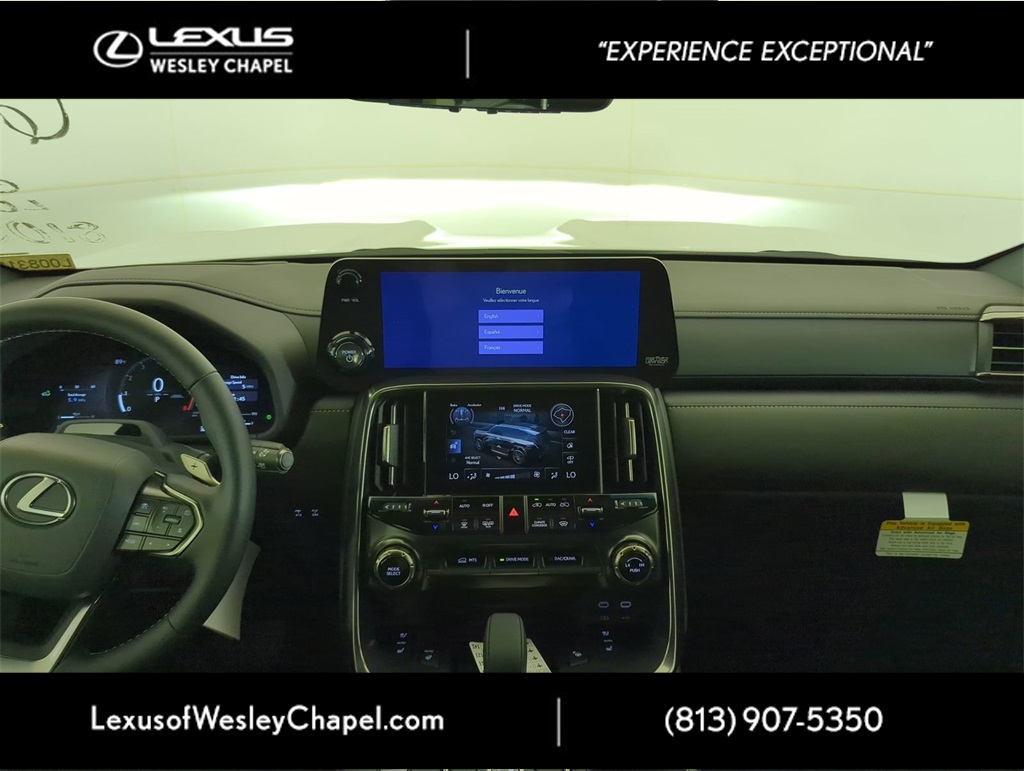 2025 Lexus LX photo 11