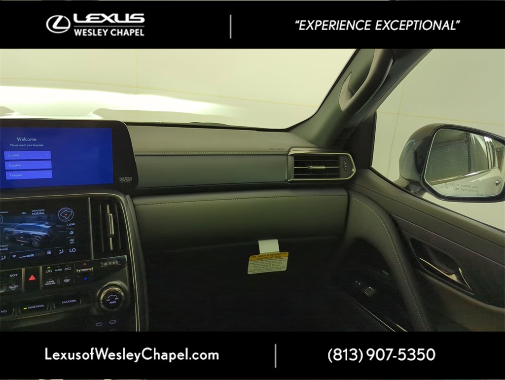 2025 Lexus LX photo 12