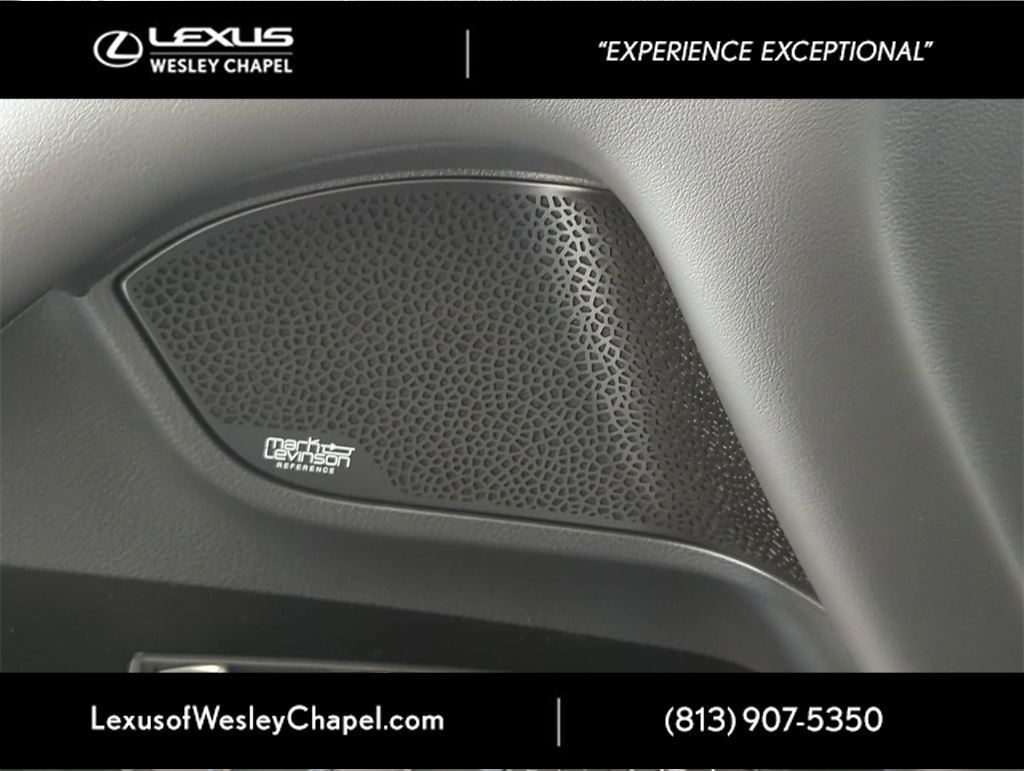 2025 Lexus LX photo 15