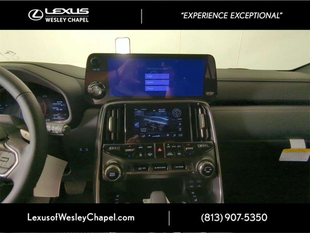 2025 Lexus LX photo 17