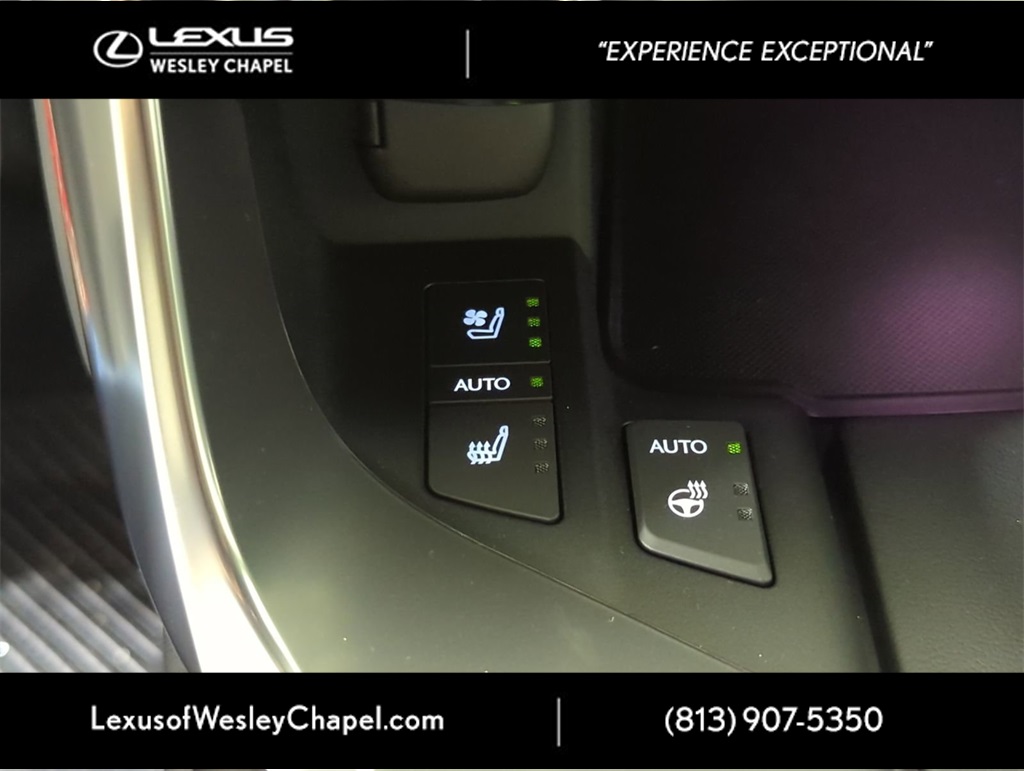 2025 Lexus LX photo 19