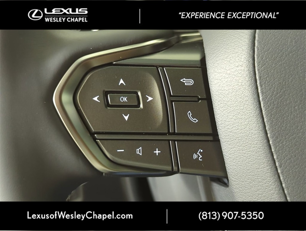 2025 Lexus LX photo 22