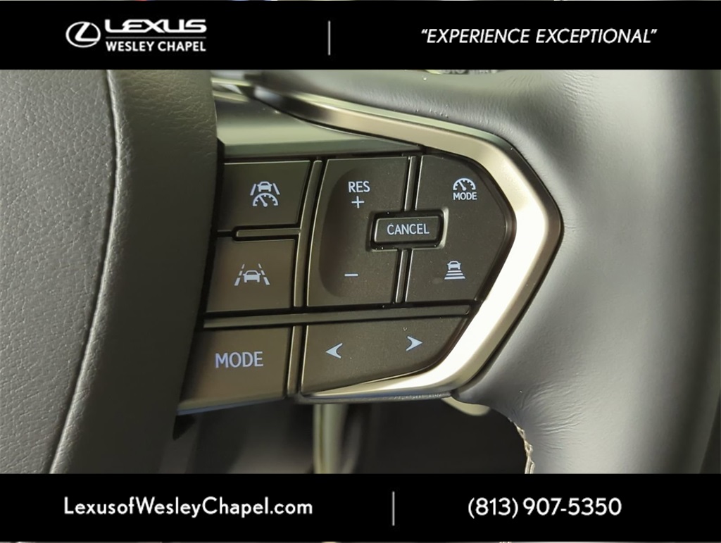 2025 Lexus LX photo 23