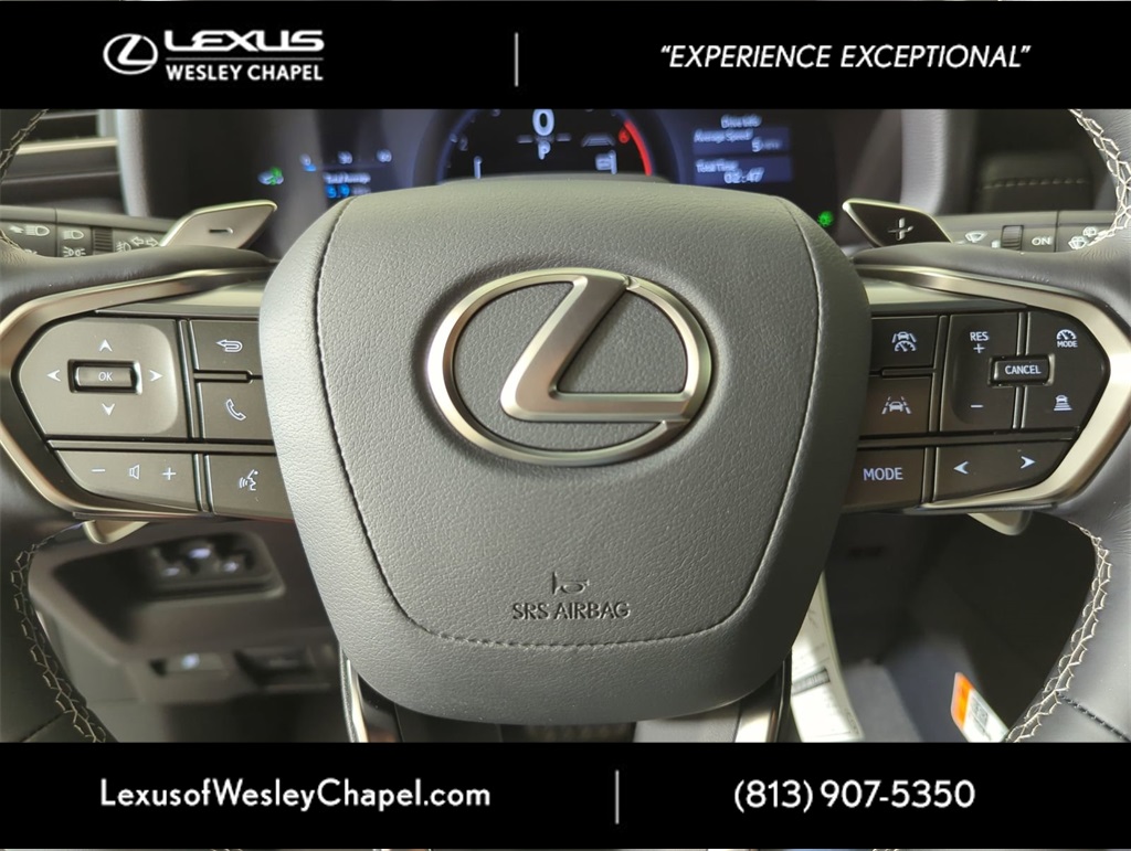 2025 Lexus LX photo 24