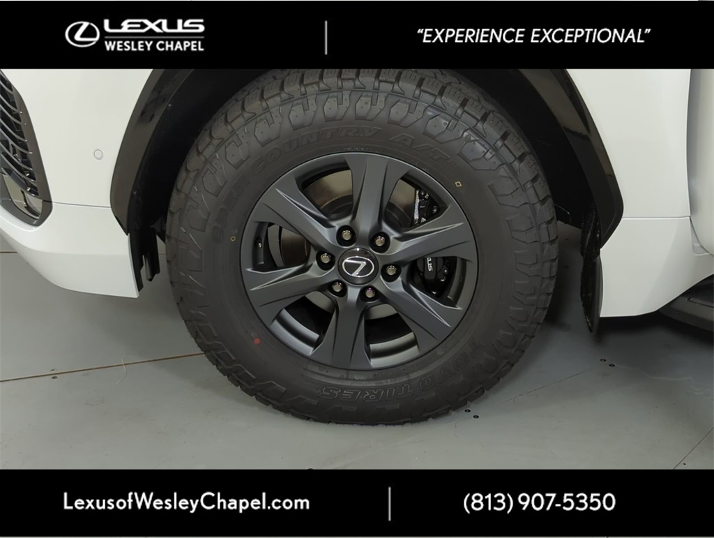 2025 Lexus LX photo 27