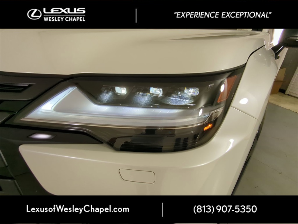 2025 Lexus LX photo 6