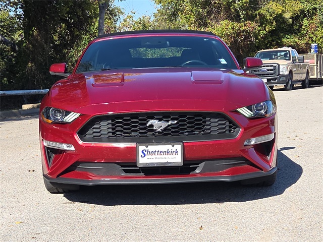 2019 Ford Mustang EcoBoost Premium photo 2