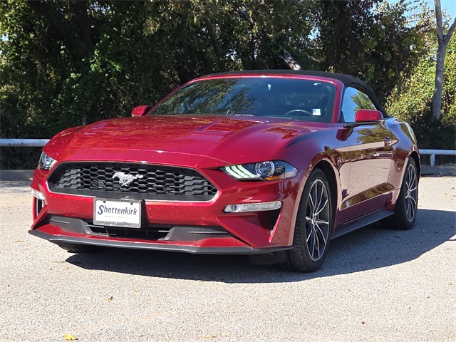 2019 Ford Mustang EcoBoost Premium photo 3
