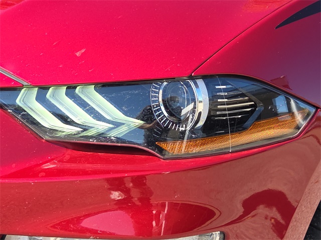 2019 Ford Mustang EcoBoost Premium photo 4