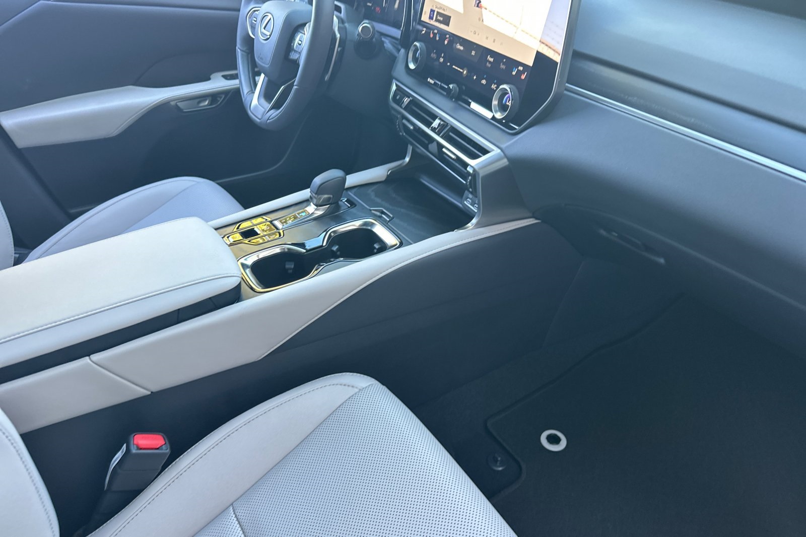 2025 Lexus RX 350 F SPORT photo 13