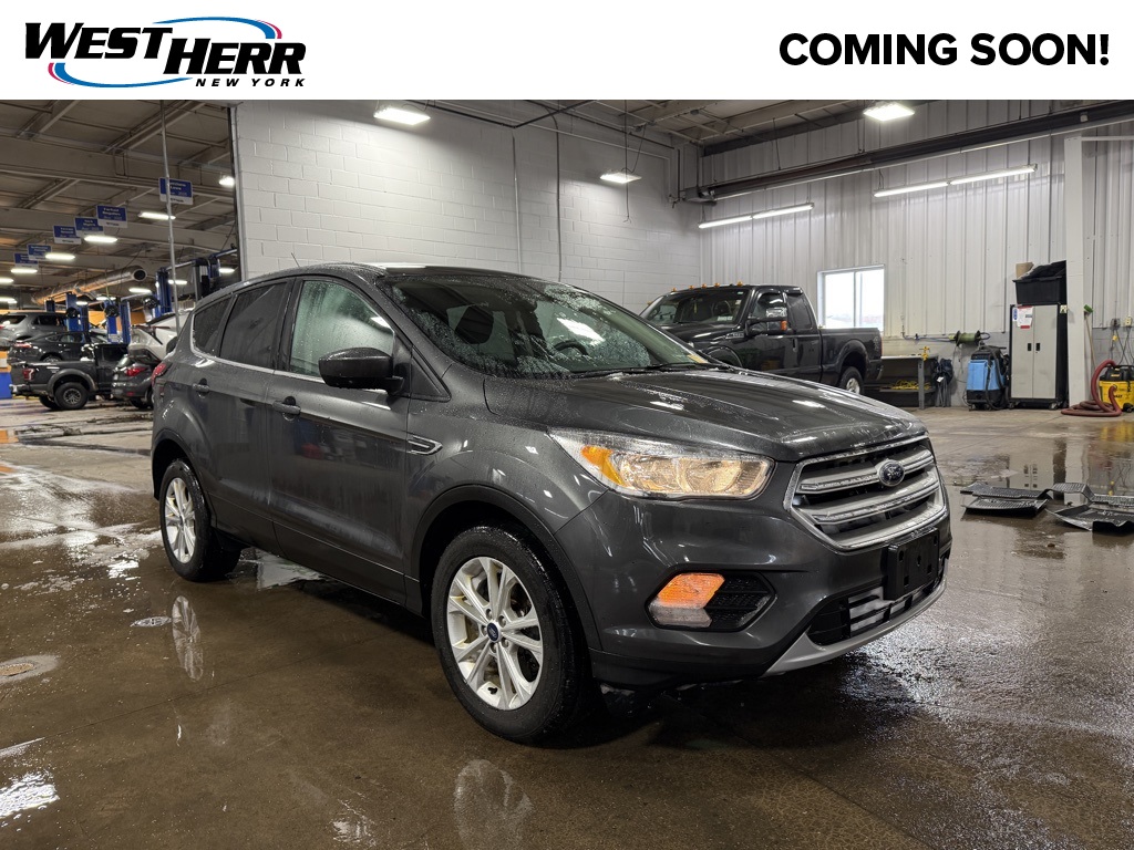 2019 Ford Escape SE