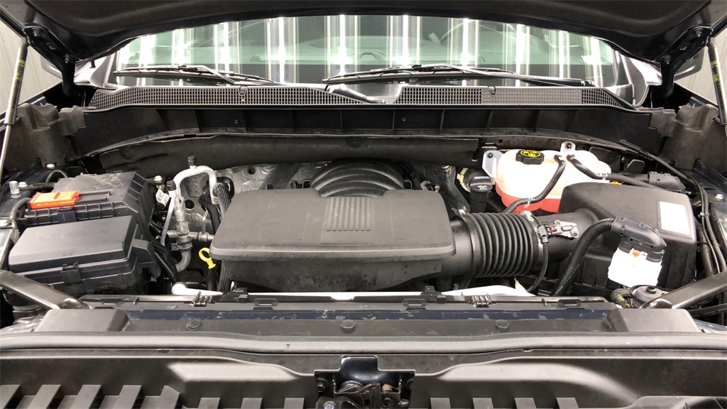 2021 Chevrolet Silverado 1500 - 110749