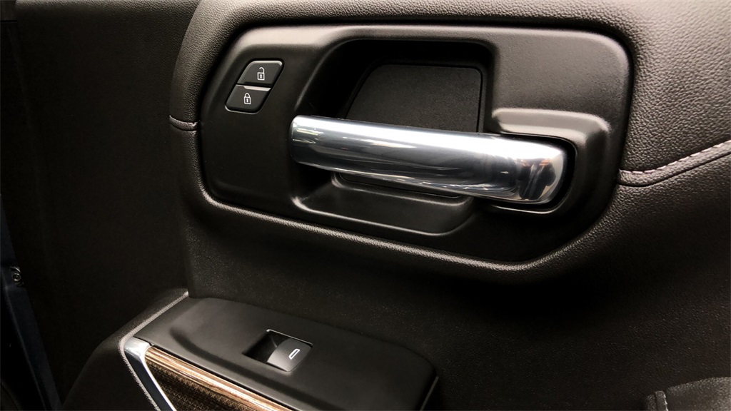 2021 Chevrolet Silverado 1500 - 110749