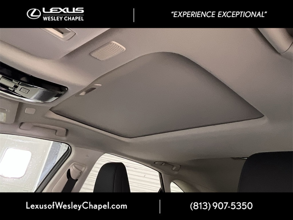 2025 Lexus NX 350 Premium AWD photo 17